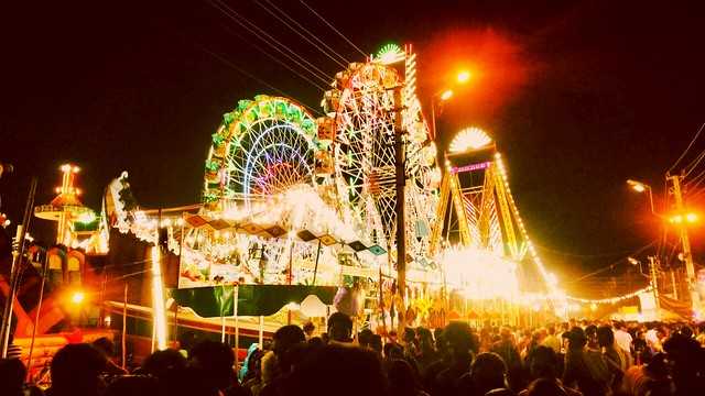 CAMELS, CAROUSELS AND CACOPHONY