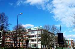 CBSE Board Explained