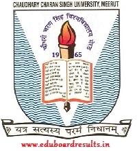 CCS University Result 2018 BA BSc BCom BCA | CCSU Results 2017