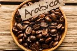 COFFEA - ARABICA…