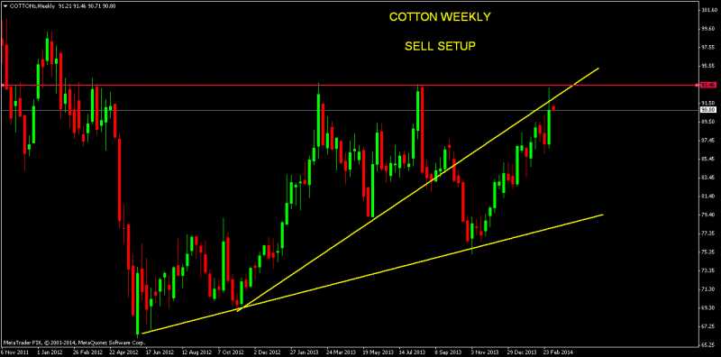 COTTON-WEEKLY--SELL SIDE PREFFERED...