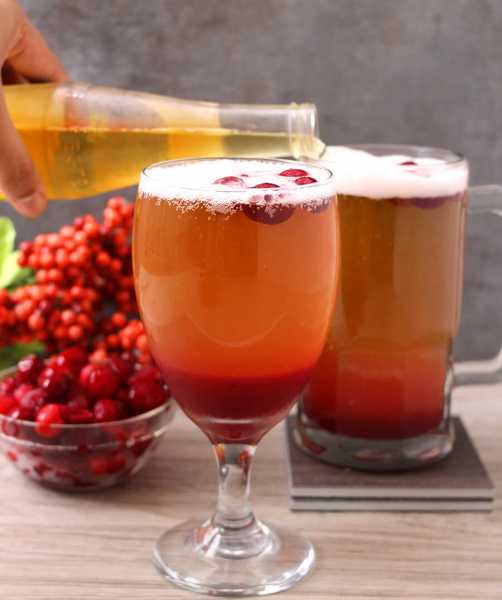 CRANBERRY BEER - Cook With Kushi