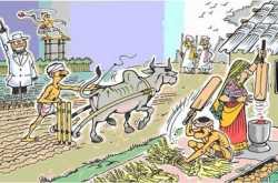 CRICKET-ThE InStAnT HIGH