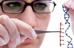 crispr gene editing tool discovered by researchers