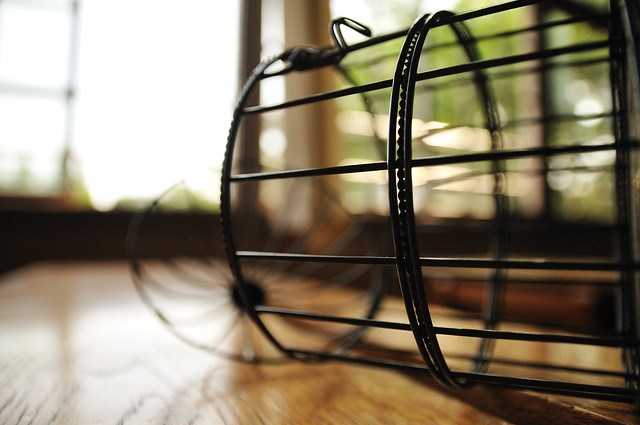 Caged Bird #WEP/JUNE : Kalpanaawrites Flash Fiction