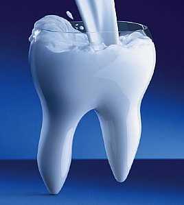 Calcium And Your Teeth | Dental Clinic India