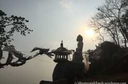 Calm amidst chaos….