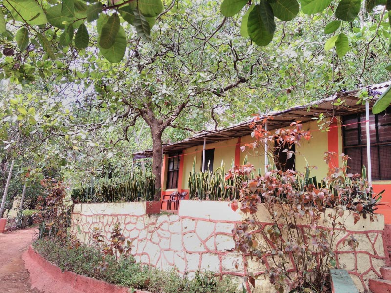 Camping In The Indian Forests Of The African Tribes- Dandeli Jungle Camp