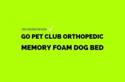 Can Orthopedic Memory Foam Dog Bed Make You Happy?