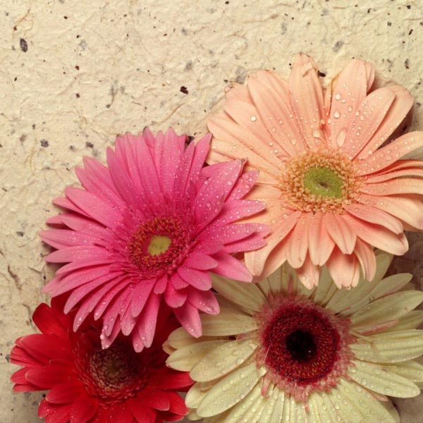 Can You Guess Who #IndiasMostLovedCEO Is?