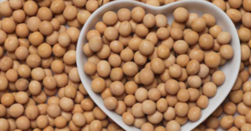 Can You Improve Your Heart Health With Soy Protein?