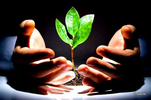 Can A Housewife Open A PPF Account? | Finaacle