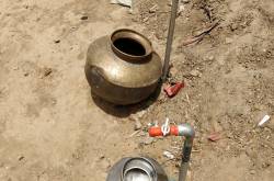 Can they have tap water please?