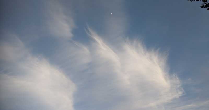 Can We Agree To Disagree?