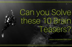 Can you Solve these 10 Brain Teasers