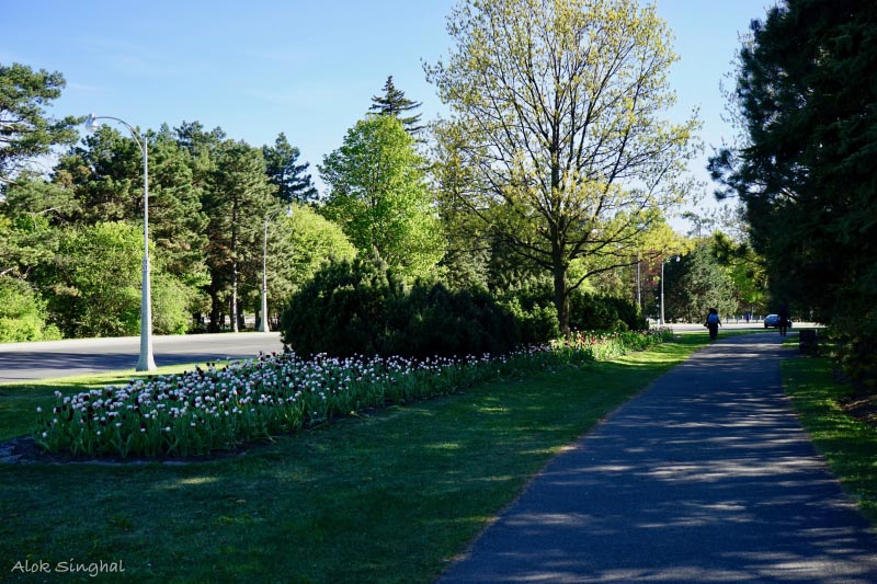 Canadian Tulip Festival - Lansdowne Park, Ottawa