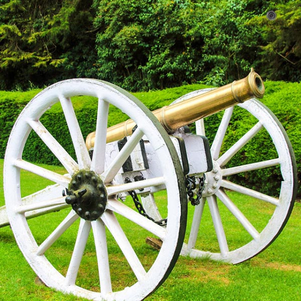Cannon At Botanical Garden, Ooty