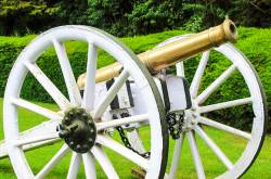 Cannon at Botanical Garden, Ooty