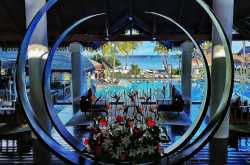 Canon EOS 200D: Picture Perfect - Indian Food Freak