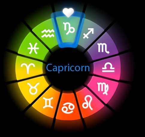 Capricorn Love Compatibility 2011