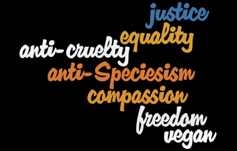 Capturing Perceptions On Veganism