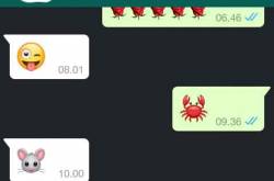 Cara Mengetahui Akun WhatsApp Disadap dan Bagaimana Mengatasinya - Terserah.info