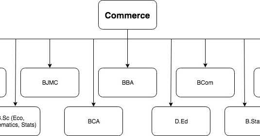 Career Path: Courses You Can Choose After 12th Commerce