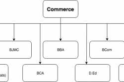 Career Path: Courses You can choose after 12th Commerce