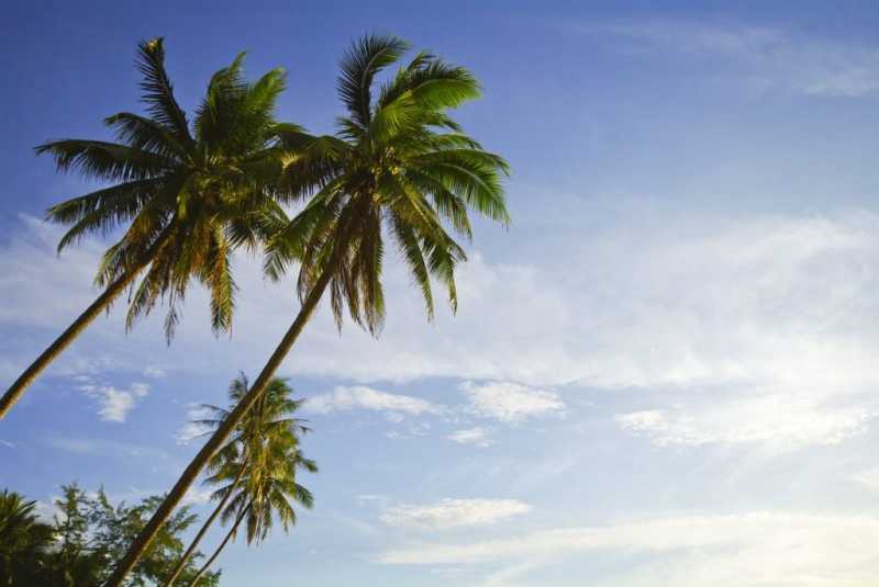 Caribbean - 15 Places That You’ll Love Winter Vacations - IMTravelin