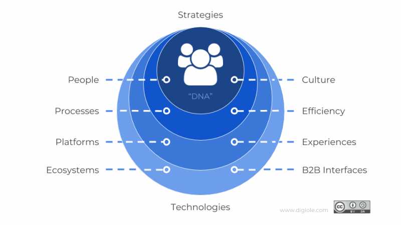 Carnival Of Quality Management Articles And Blogs - January, 2019