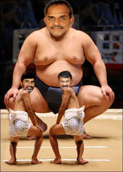 Cartoon Of The Month