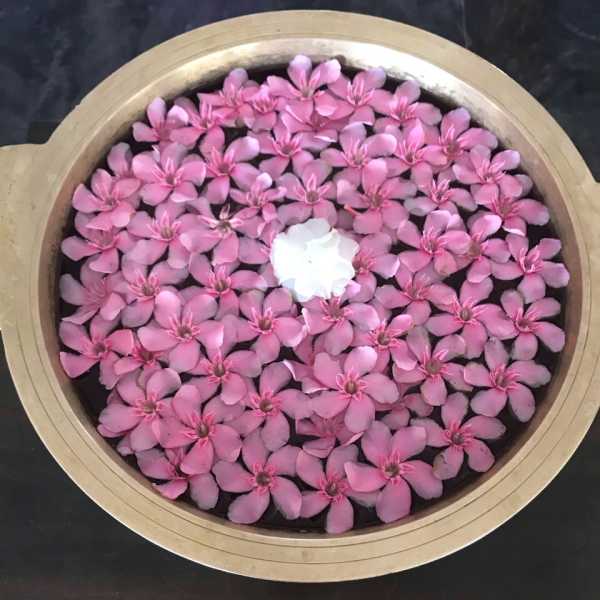 Casabianca…Brave Or Stupid ?