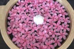 Casabianca…Brave or Stupid ?