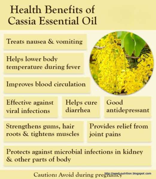 Cassia Health Benefits And Uses