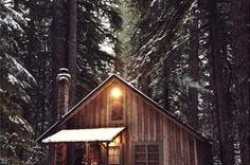 Cast away into the woods