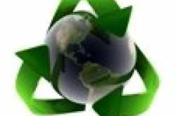 Catch 22: Be Green OR Turn Green With Envy!