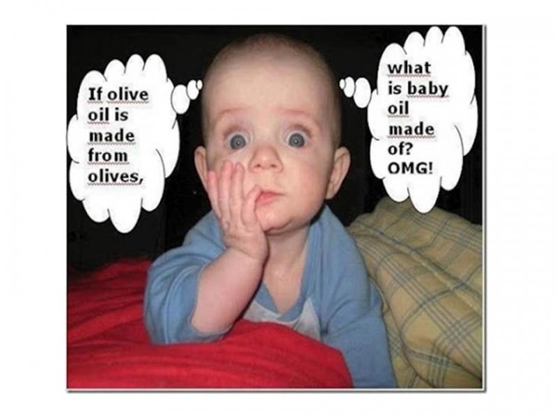 Catties Funny Pics - Enjoy And Laugh