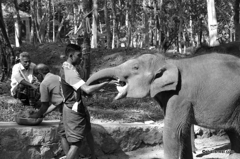 Cee’s B&W Photo Challenge: People At Work