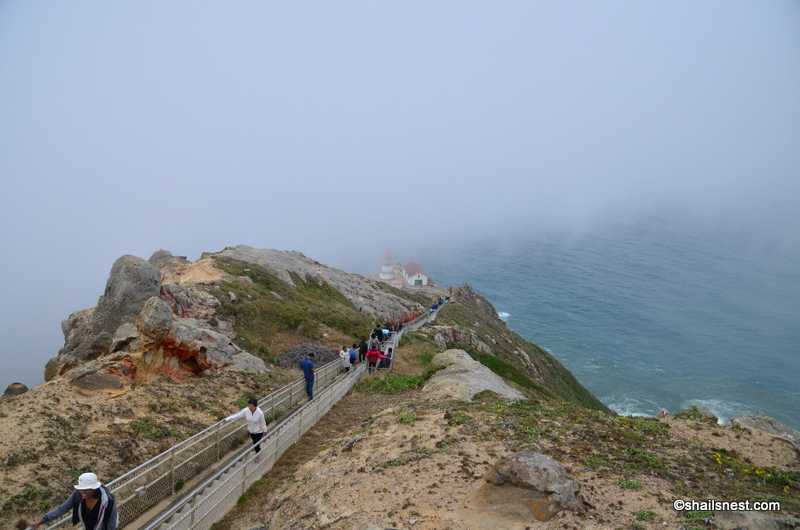 Cee’s Fun Foto Challenge: Outdoor Ways To Move Up And Down