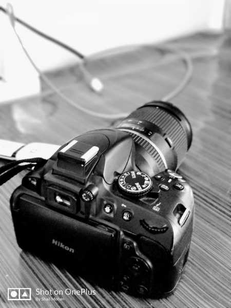 Cee’s Fun Foto Challenge: Any Kind Of Camera Or Photographer