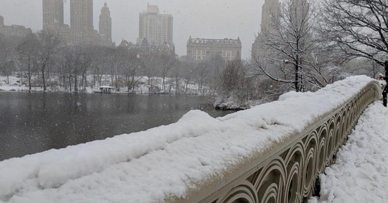 Central Park In All Seasons | New York