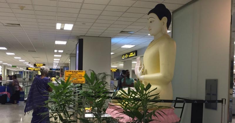 Ceylon Tea From Sri Lanka