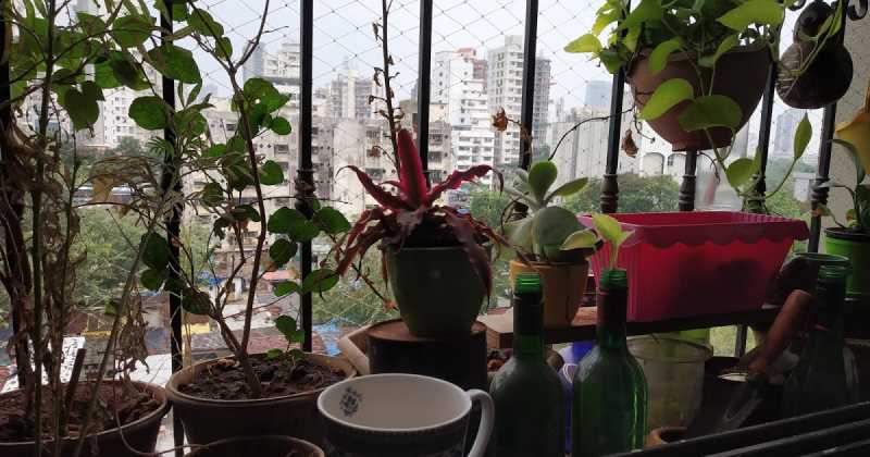 Chai Time ChitChat #15