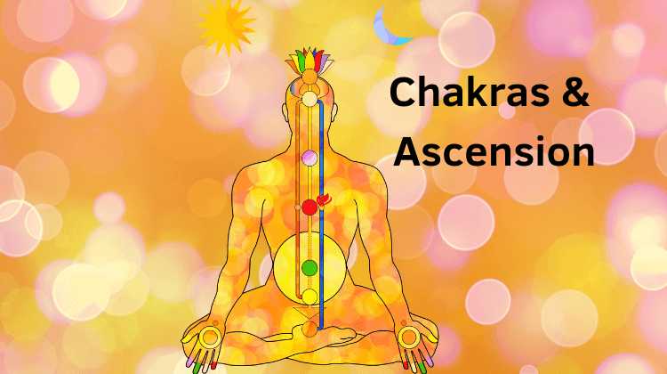 Chakras & Ascension