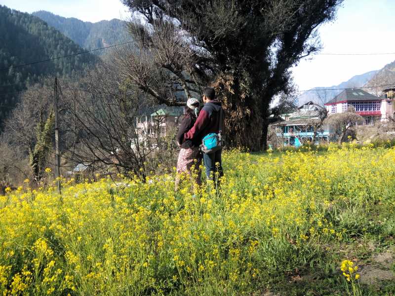 Chalal  And  Manikaran