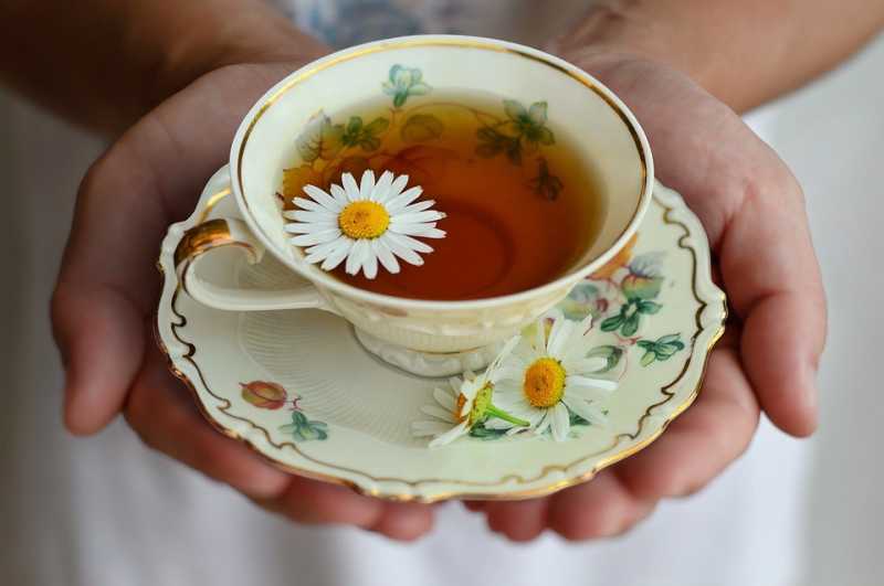 Chamomile Tea: Benefits And Side Effects