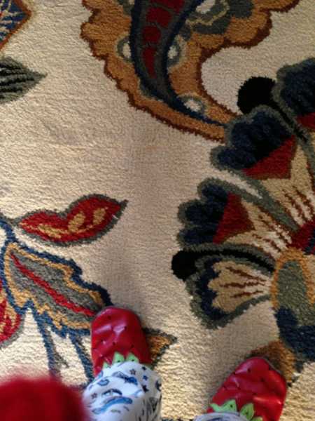 Champ Is 19 Months Old - Already!!