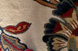 Champ is 19 months old - already!!