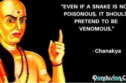 Chanakya Motivational Quotes English and Hindi - Qonclusion