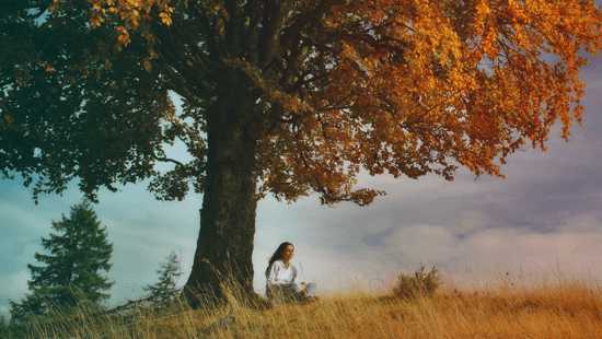 Chandan-Chhaya16 Min Read